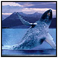 Fredrick Sound