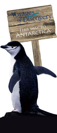 Discovery Penguin
